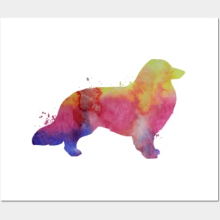 Longhaired dachshund Posters and Art